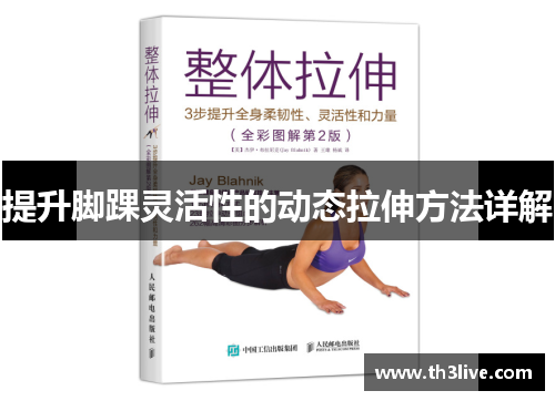 提升脚踝灵活性的动态拉伸方法详解